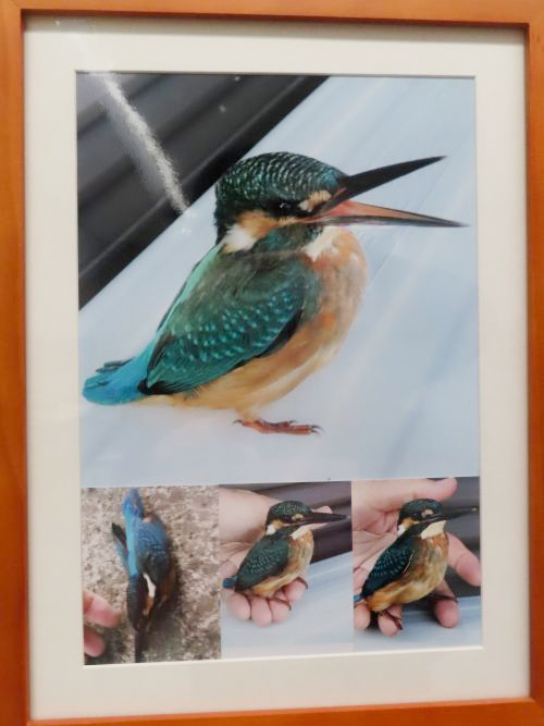 写真の部佳作_写真